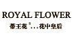 蒂王花ROYAL FLOWER