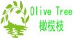 橄欖枝Olive Tree