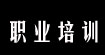 職業(yè)培訓職業(yè)培訓